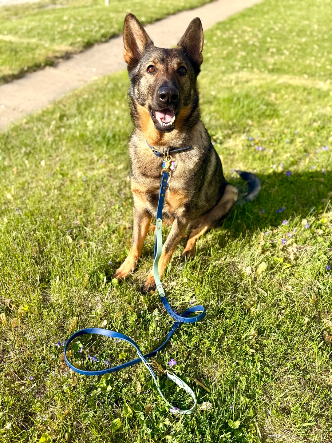 Customer photo review of Midnight - Classic Biothane Dog Collar