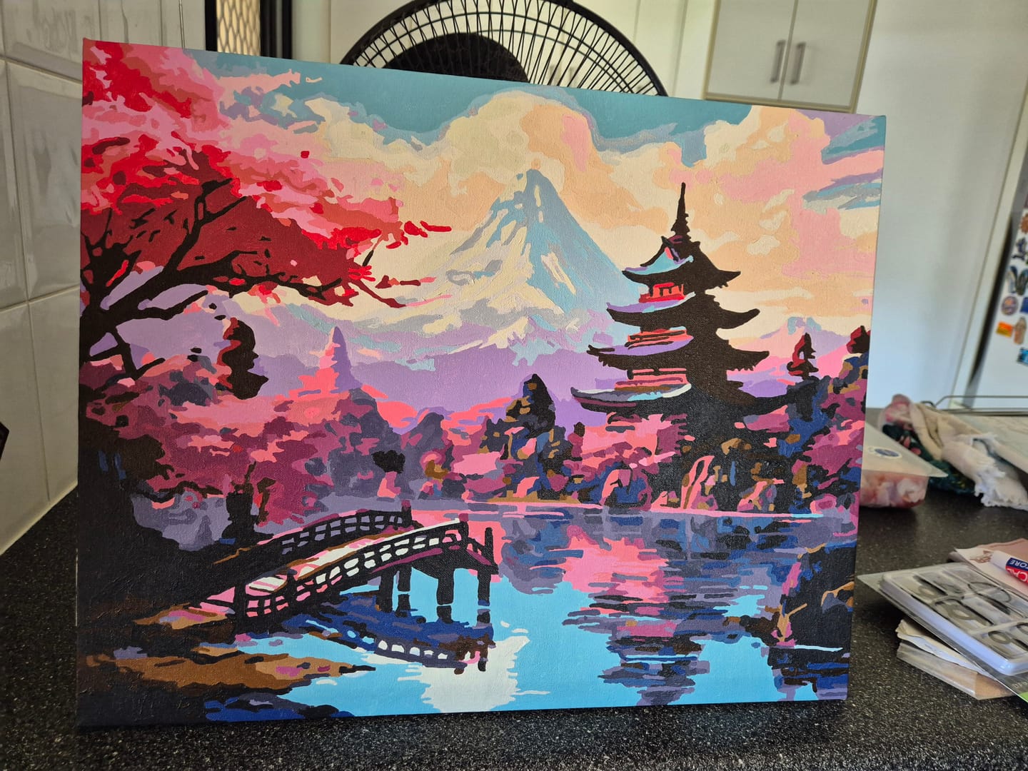 Customer photo review of Eternal Fuji