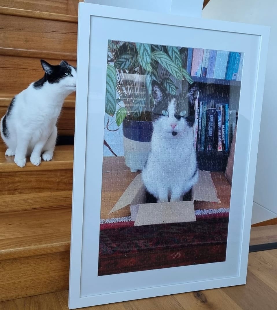 Customer photo review of Custom Jigsaw Puzzle From Photo 200, 300, 500, 1000, 1500, 2000 Piece Jigsaw