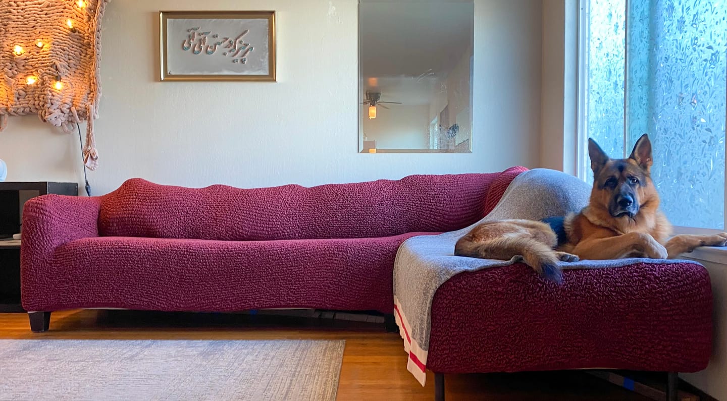 Customer photo review of Fullback Support Sectional Sofa Slipcover (Right Chaise), Comfort Collection