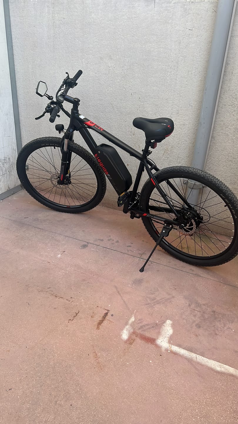 Customer photo review of Electric Mountain Bike Mopride 2