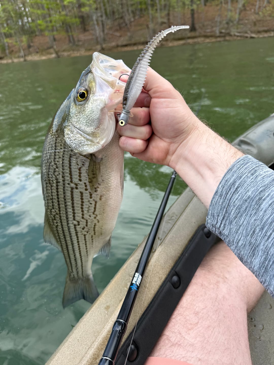 Customer photo review of Showtime Casting Rod