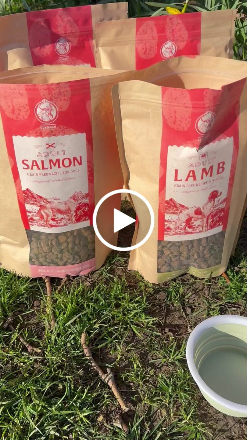 Customer video review of Scottish Salmon Dry Food