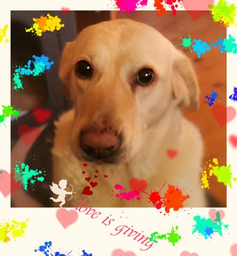 Customer photo review of Multi Vital