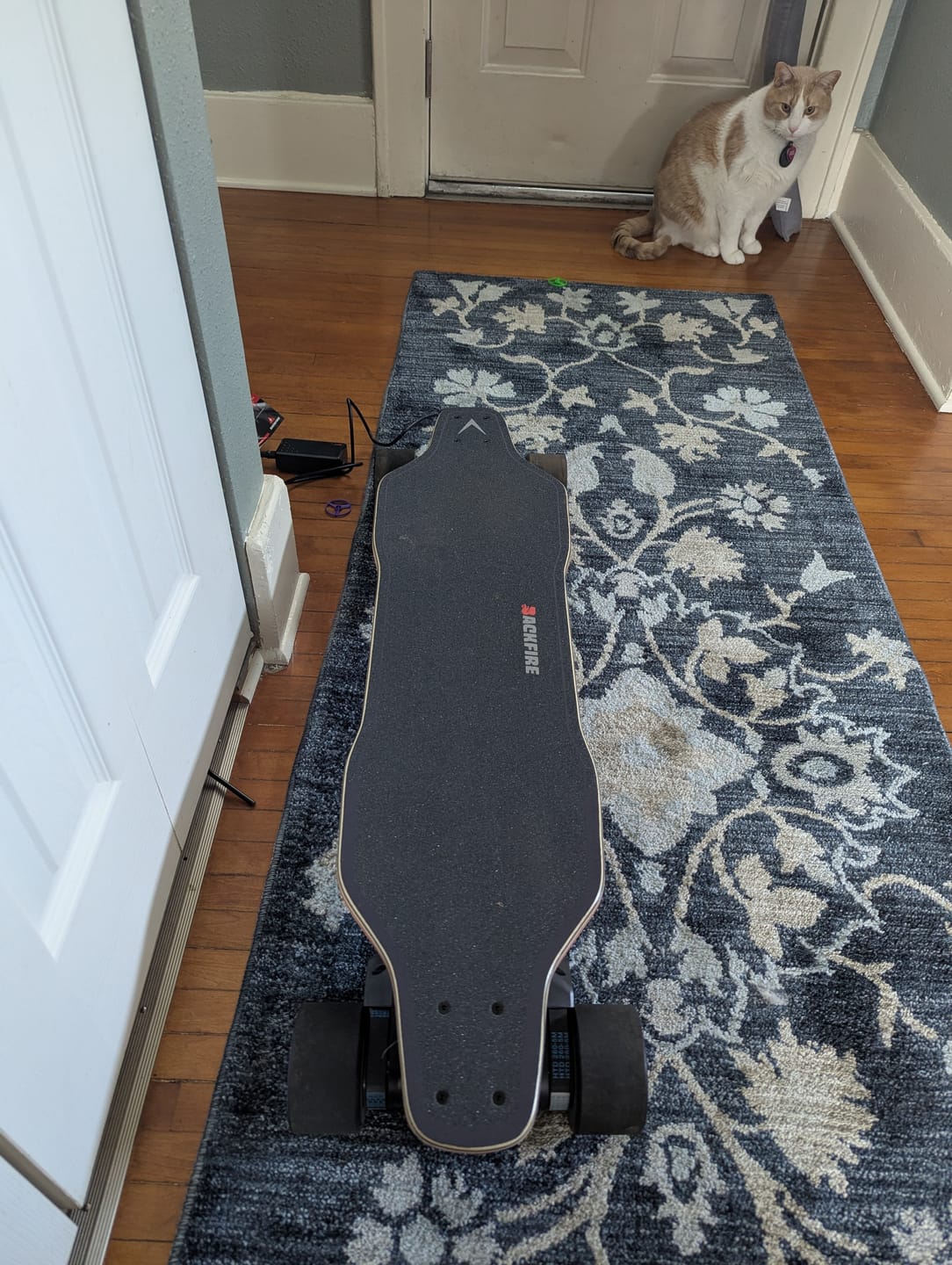 Customer photo review of Backfire G2Z Belt Electric Skateboard with R5s Remote