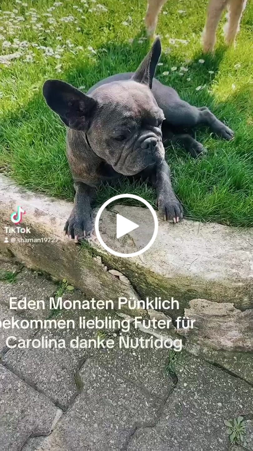 Customer video review of Rind gemischt 300g ab pro Wurst nur 4.40.-