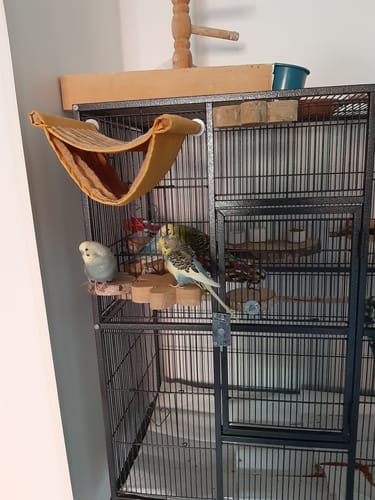 Customer photo review of Sitzbrettchen Blume