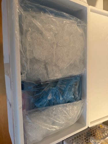 Customer photo review of Tasmanian Scallops Pack