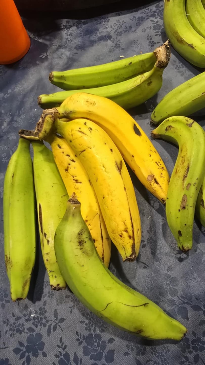 Customer photo review of Gros Michel Banana