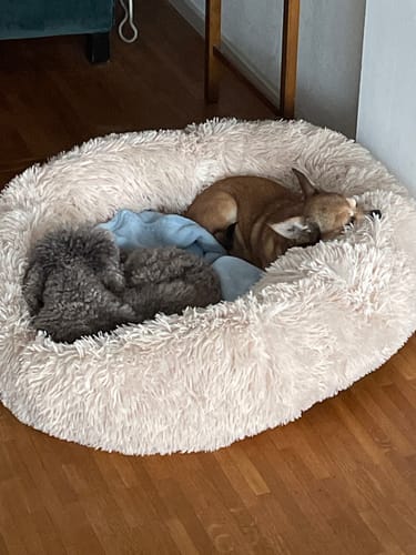 Customer photo review of CalmBed - Motverkar stress & hjälper mot ångest