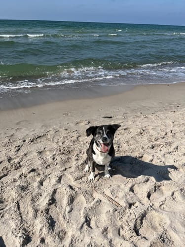 Customer photo review of Lucky Belly