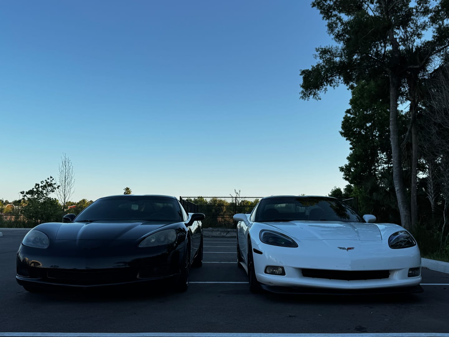 Customer photo review of Corvette C6 Base Extended Front Splitter Lip | ZR1 Conversion Package