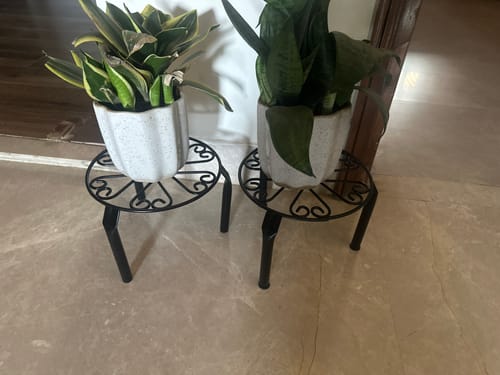 Customer photo review of UnitedCrafts Trivia Metal Pot Stand High Quality & Unique Design