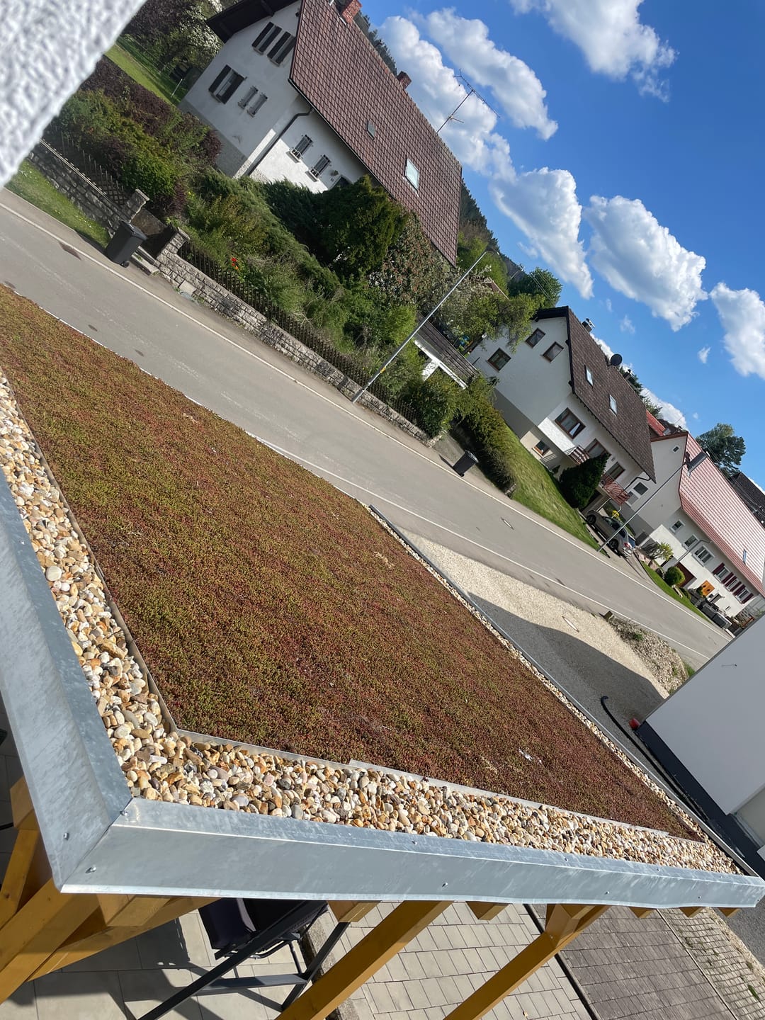 Customer photo review of Dünger Sedum