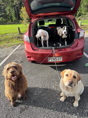 Ruby L. review of Soft Rope Slip Lead 6mm image 1 out of 1