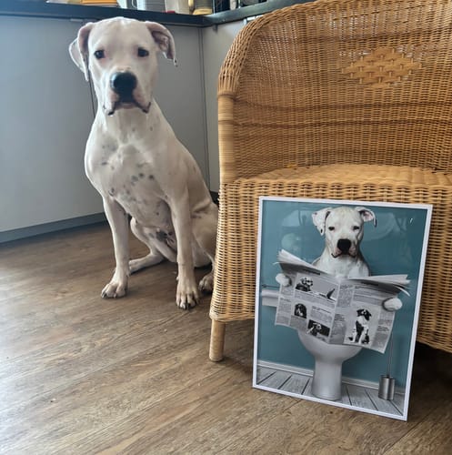 Customer photo review of Session privée - Poster personnalisé