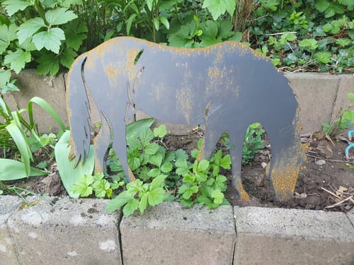 Customer photo review of Gartenstecker Schildkröte