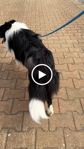 Sharon M. review of Soft Rope Slip Lead 6mm image 1 out of 1