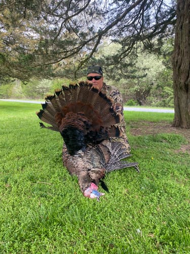 Customer photo review of Ceramic / Diaphragm Combo