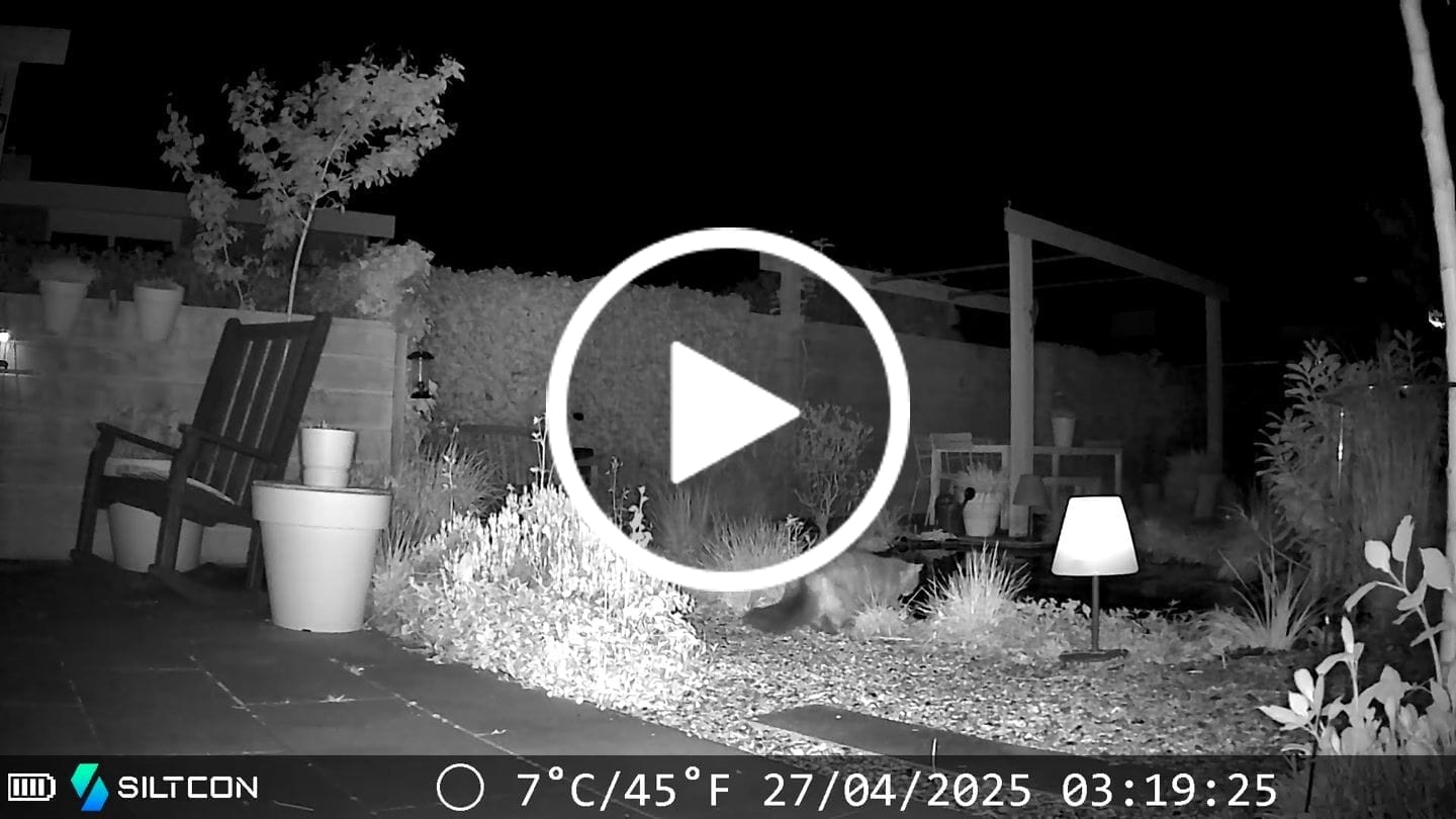 Customer video review of Siltcon® Wildcamera Nachtzicht en wifi 4K