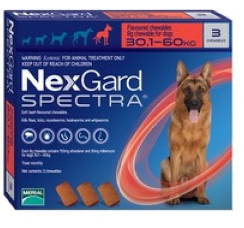 Customer photo review of Nexgard Spectra® 3 masticables