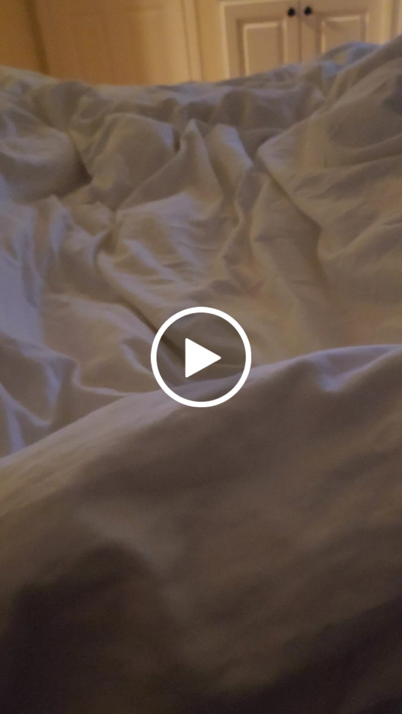 Customer video review of Organic Cotton Goose Down Comforter