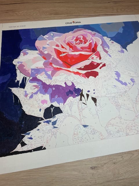 Customer photo review of Rosy Dawn