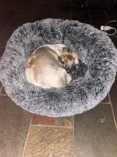 Customer photo review of Cover For PaWz Calming Pet Bed