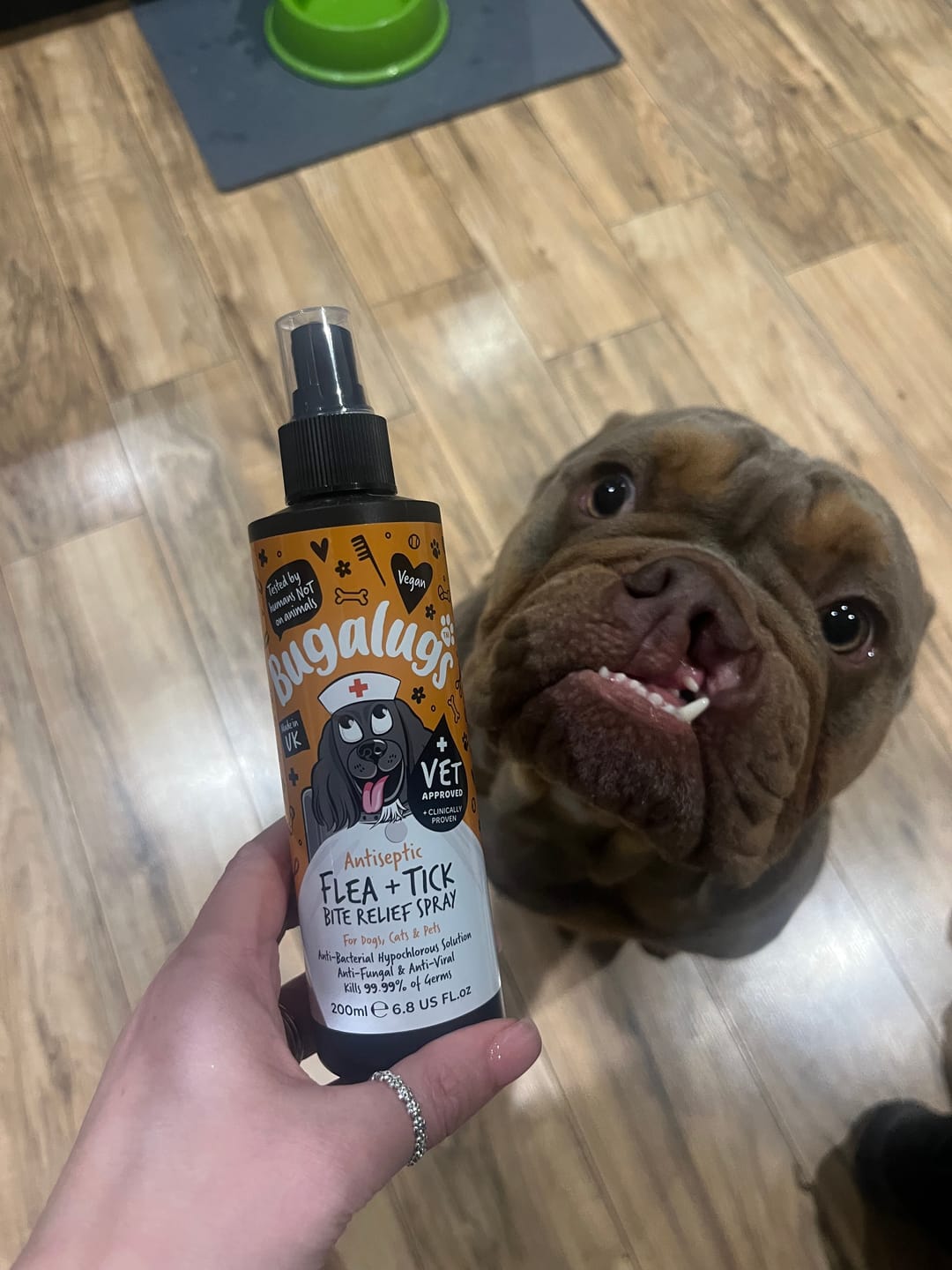 Customer photo review of Antiseptic Flea & Tick Bite Relief Spray for Dogs, Cats & Pets