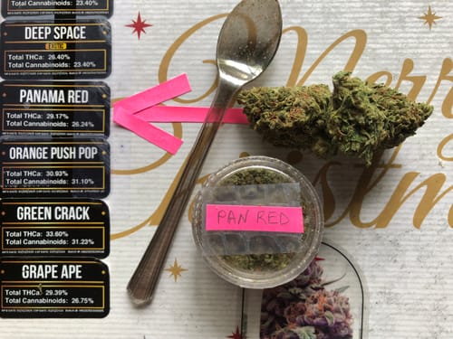 Customer photo review of Gold Spectrum THCA Flower (Top) - Panama Red