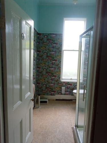 Customer photo review of Lagoon Fish Wallpaper - Teal