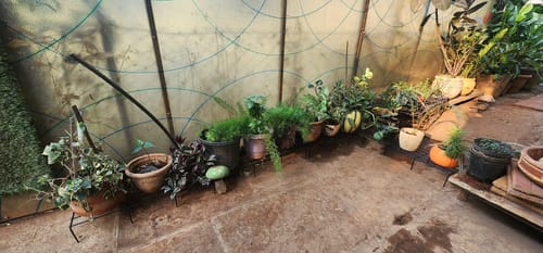 Customer photo review of Metal Plant Stand, Flower Pot Holder ( Black 24*inch)