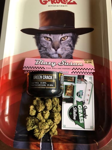 Customer photo review of Gold Spectrum THCA Flower - Top Quality Strain of the Month