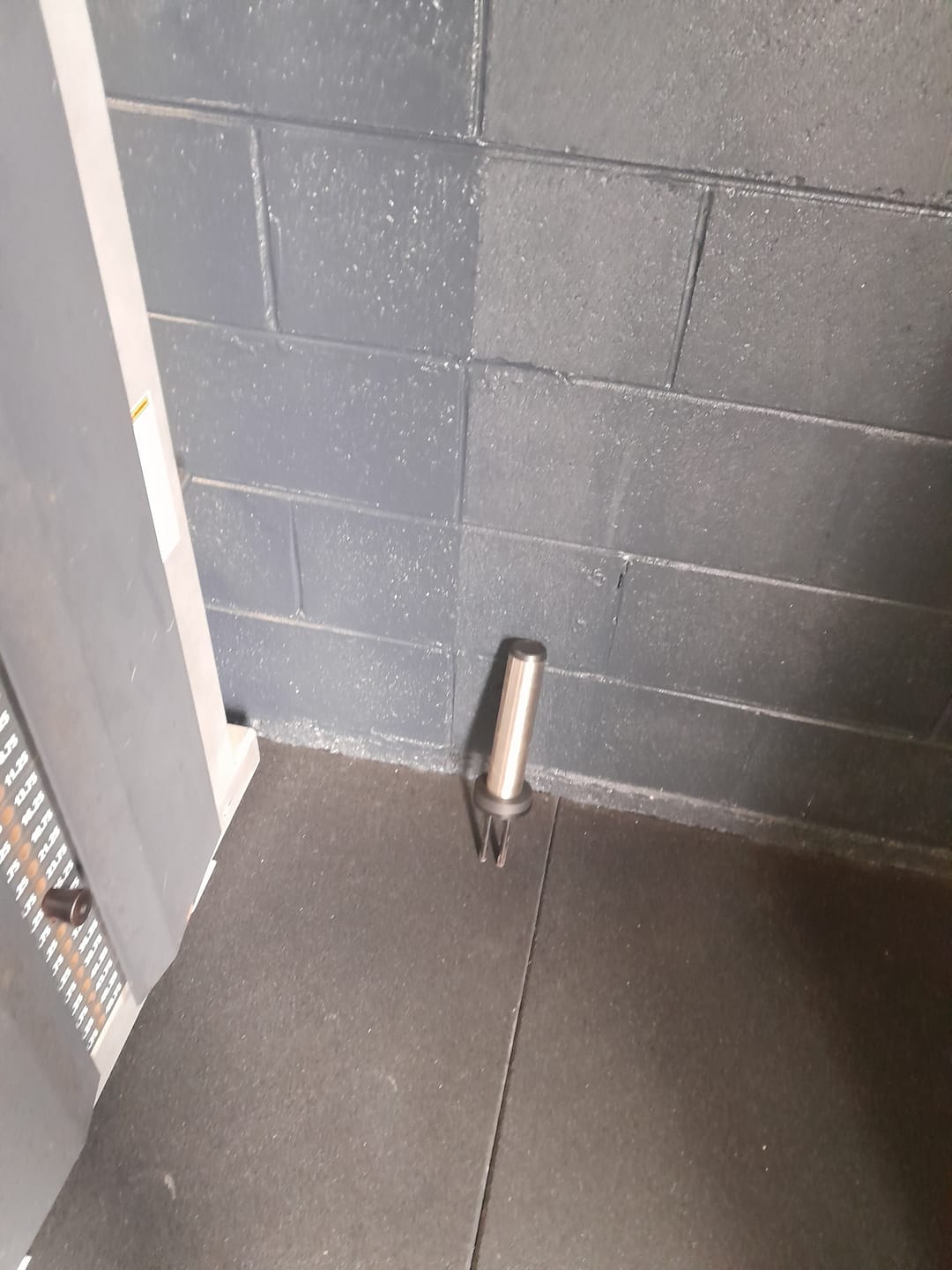 Customer photo review of TITANIUM USA WEIGHT STACK HORN