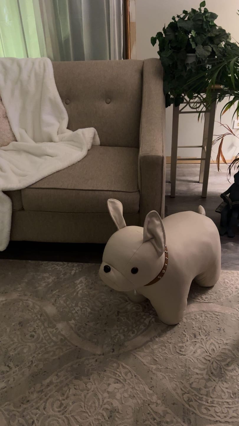 Customer photo review of Cozy Dog Accent Chair