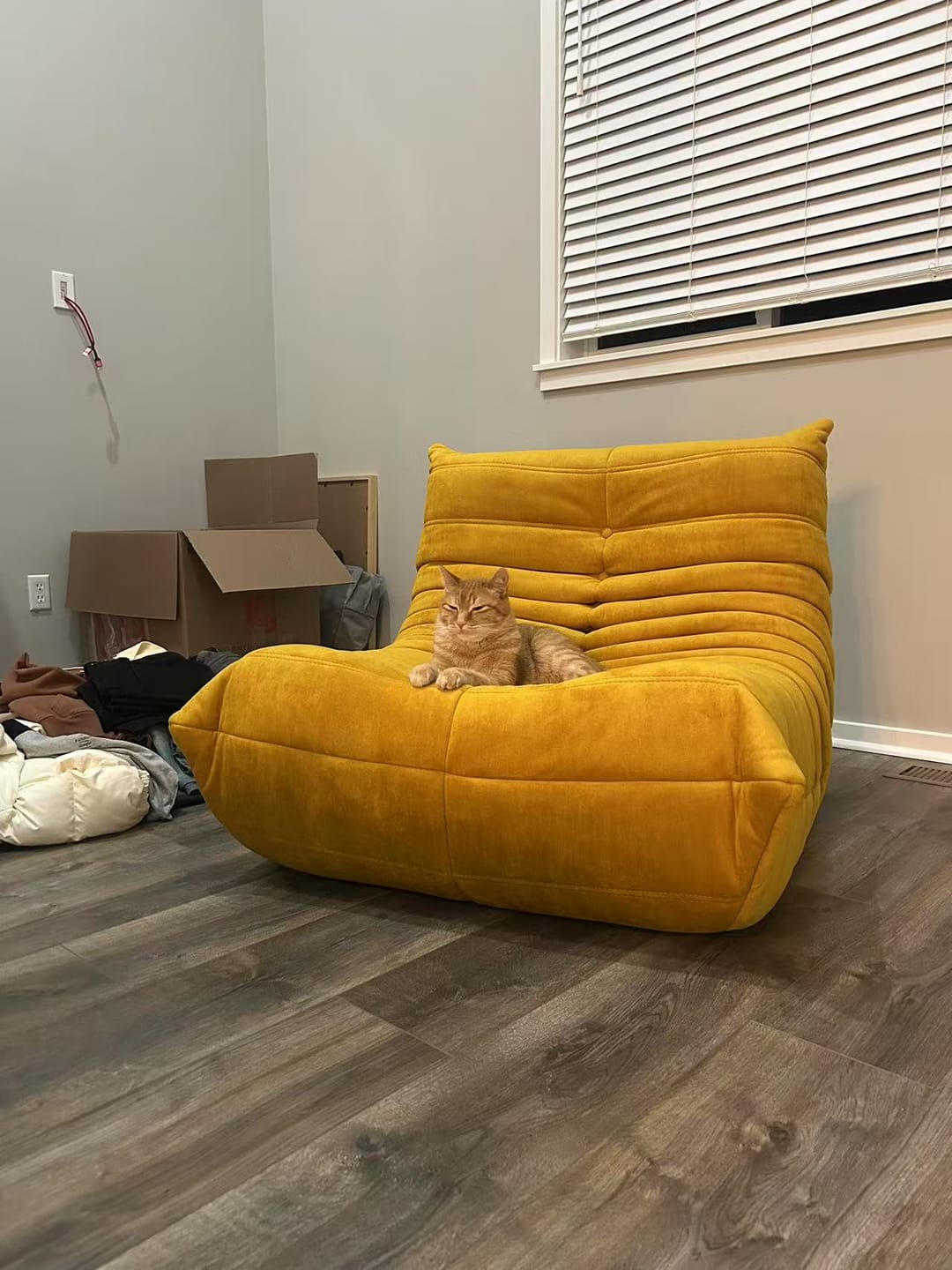 Customer photo review of Chillax Lounger Sofa Chair