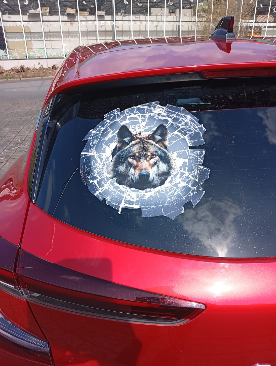Customer photo review of Spähendes Foto Glas - Individueller Autoaufkleber