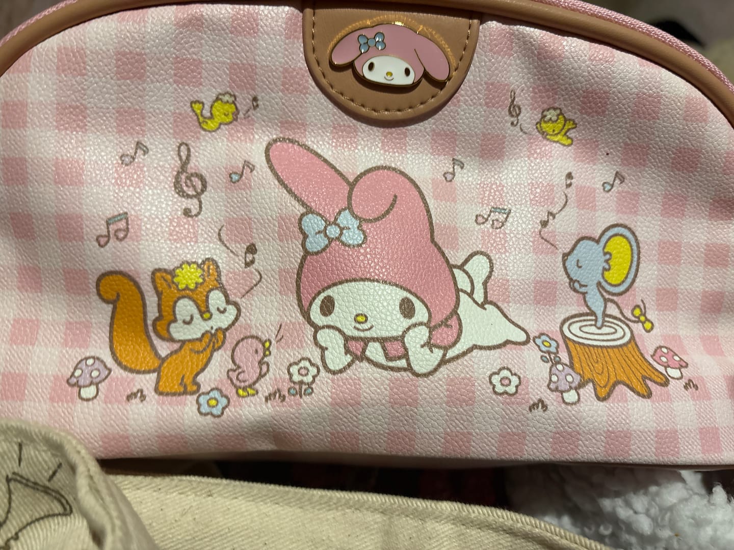 Customer photo review of Cosmetiquera | My Melody