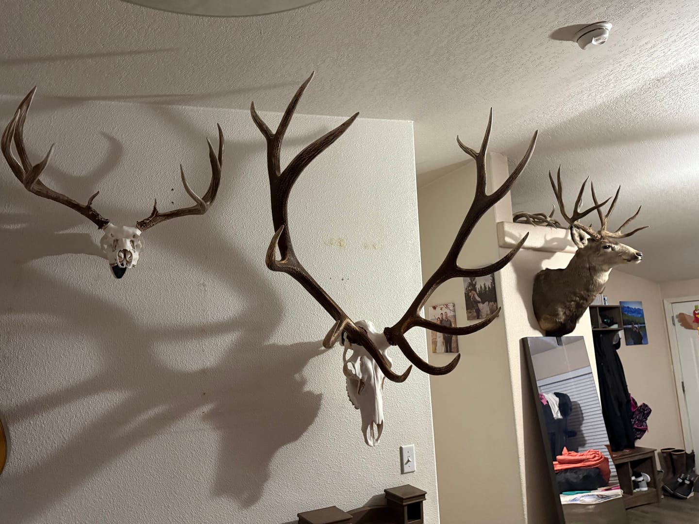 Customer photo review of SkulLok | Large Game