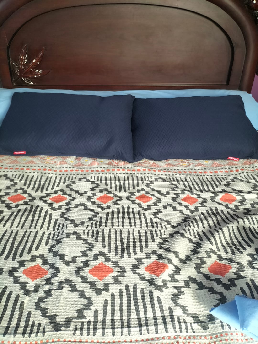 Customer photo review of Super Soft Shredded Memory Foam Pillow
