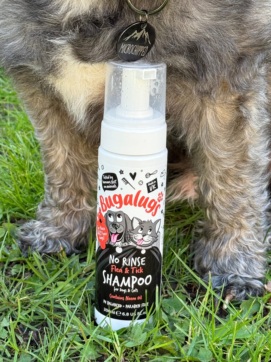 Customer photo review of Flea & Tick No Rinse Shampoo for Dogs & Cats