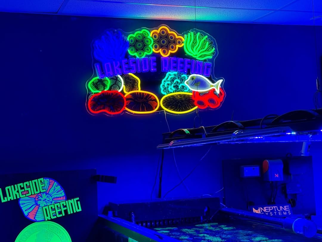 Customer photo review of Custom Neon Signs
