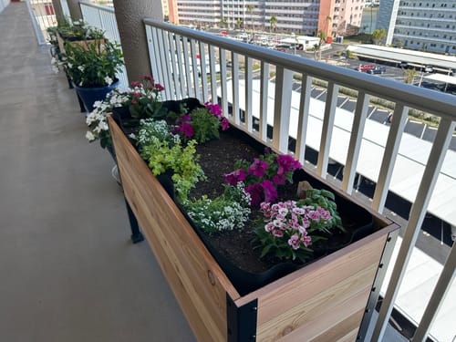Customer photo review of 18" x 48" Raised Garden Bed