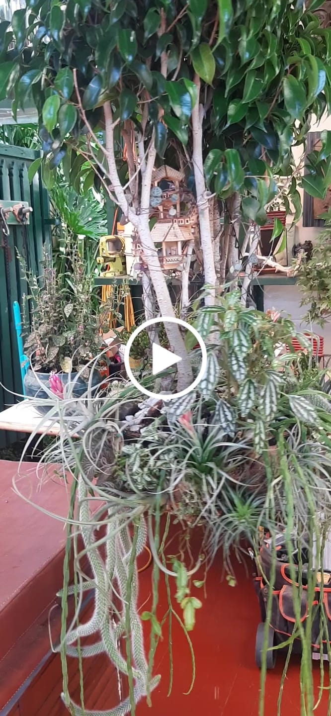 Customer video review of Forest Cottage