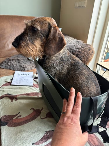 Customer photo review of Kvisp Dog Bike Carrier
