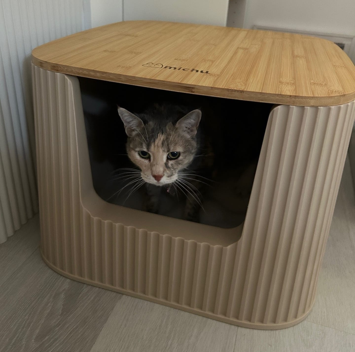 Customer photo review of Michu XXL BoBa Deluxe Cat Litter Box - Spacious Design