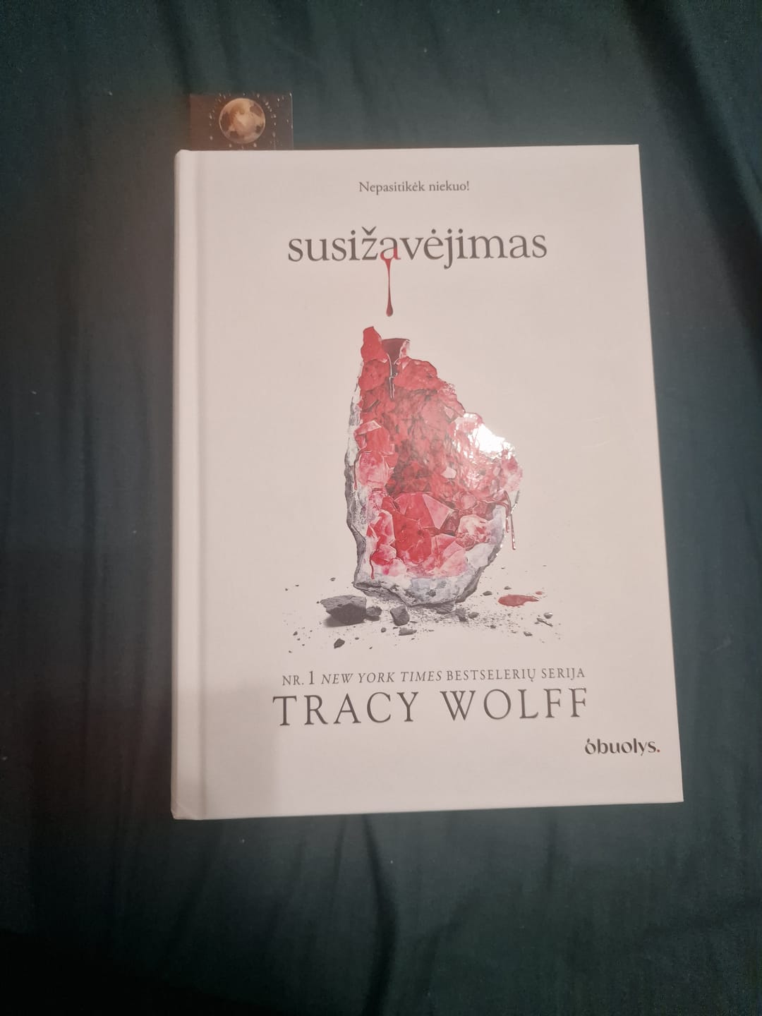 Customer photo review of Susižavėjimas: Nr. 1 New York Times bestselerių serijos troškimas 2-oji dalis