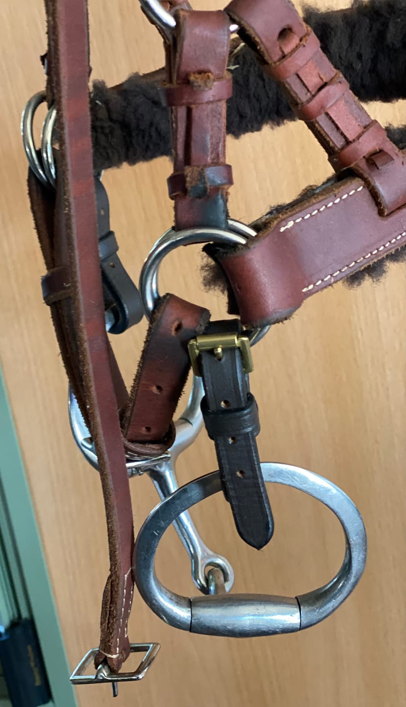 Customer photo review of Multibridle Leather Bit Straps - Brass buckles