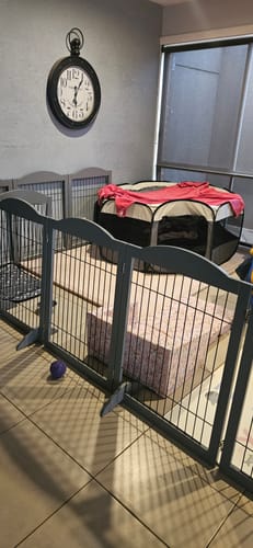 Customer photo review of PaWz 6 Panels Pet Playpen Pet Gate