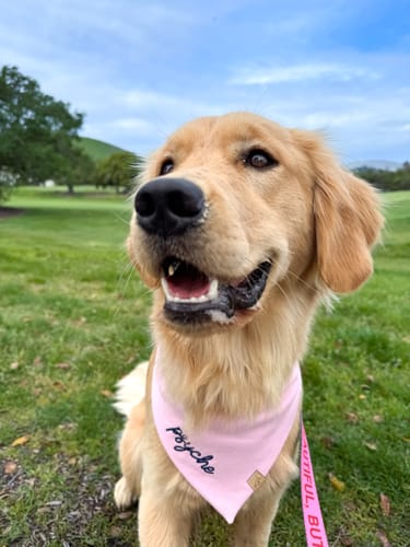 Customer photo review of Custom Embroidered Bandana